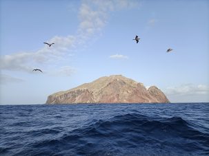 En los reales dominios de Redonda
