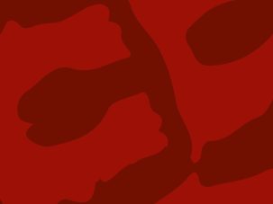 5 poemas de Atlas en rojo, de José Luis Díaz Caballero